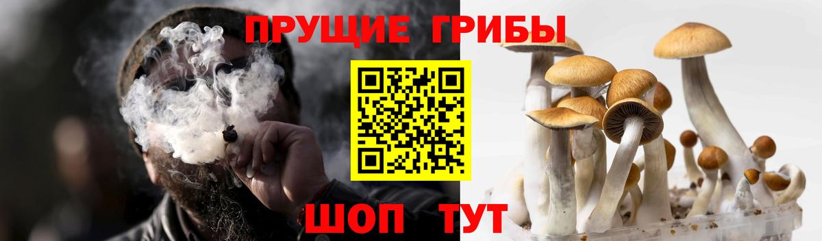 Псилоцибиновые грибы Magic Shrooms  Галлюциногенные грибы ЛСД  Вход с VPN  Коряжма 